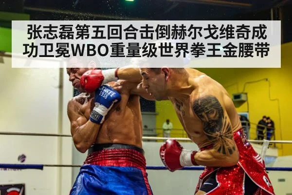 张志磊第五回合击倒赫尔戈维奇成功卫冕WBO重量级世界拳王金腰带